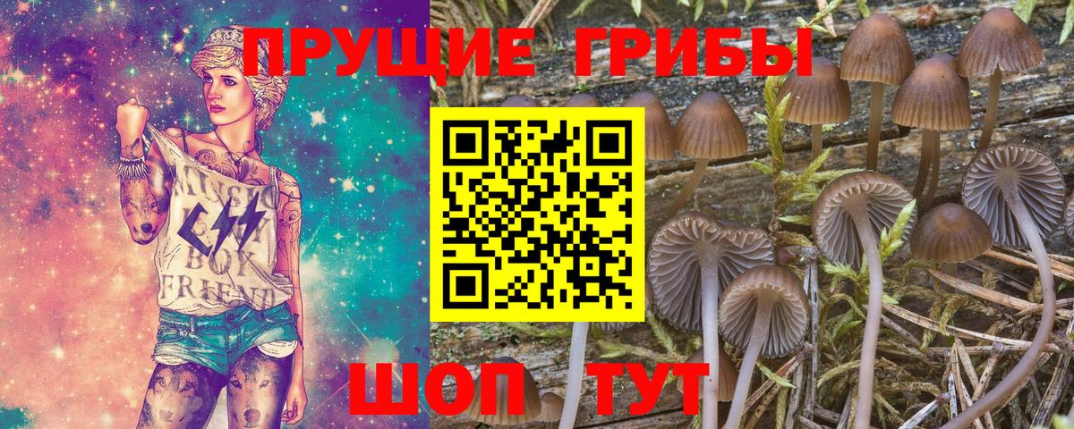 Псилоцибиновые грибы прущие грибы Фролово